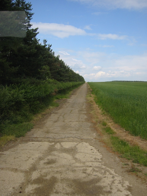 Old Nuthampstead Airbase N-S takeoff runway. 